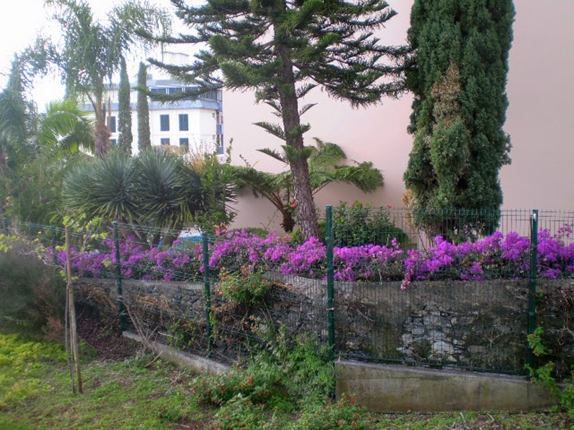  Funchal (Portugal) 