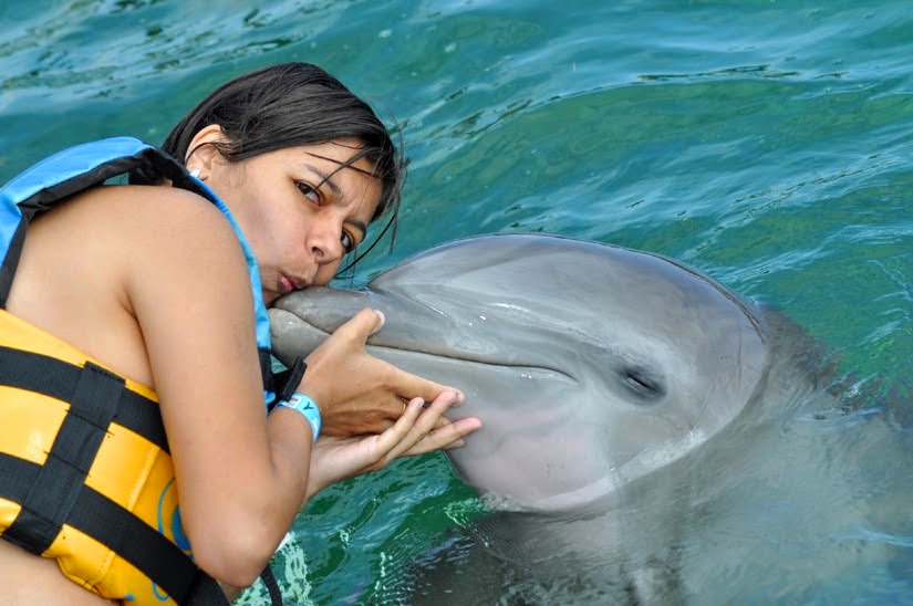 Curiosidades sobre golfinhos - Cancun - México
