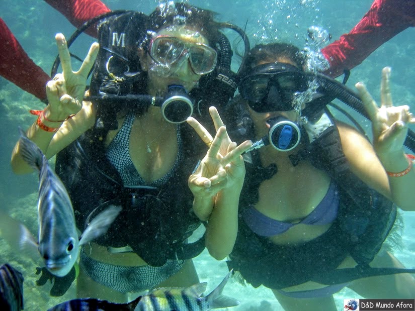 Mergulho com cilindro em Maragogi - O que fazer em Maragogi: Caribe Brasileiro 