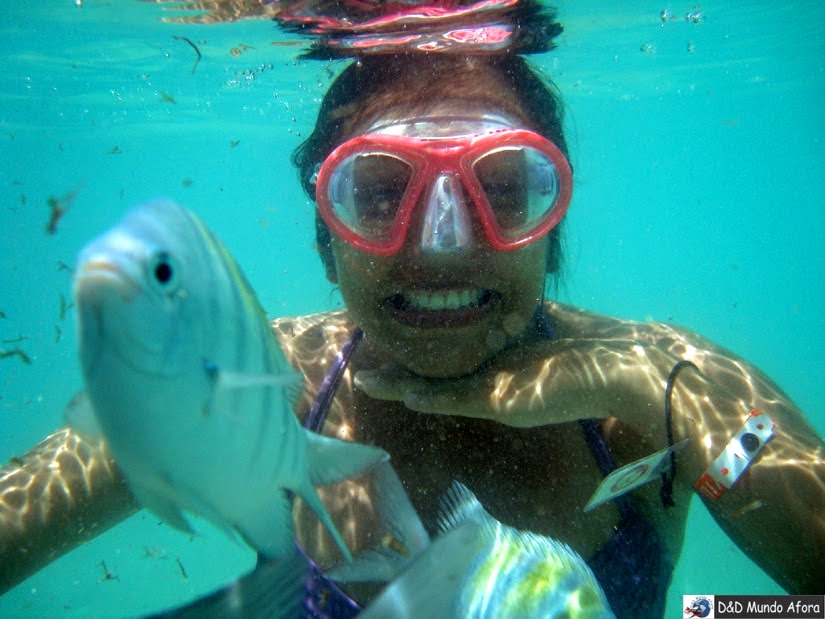 Snorkel Piscina naturais de Maragogi Alagoas