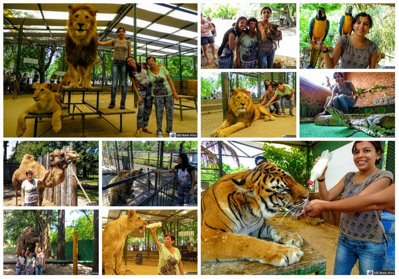 Zoo Luján, na Argentina - D&D Mundo Afora completa 3 anos