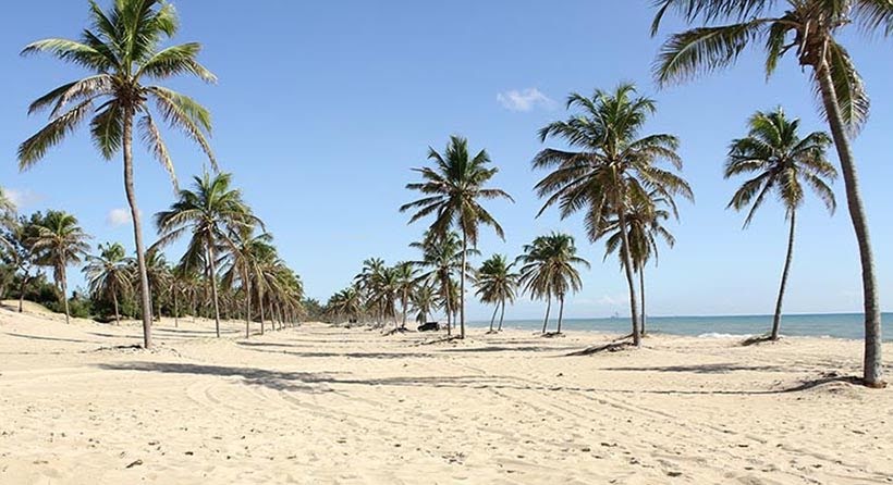 Passeios em Fortaleza e nas praias do nordeste