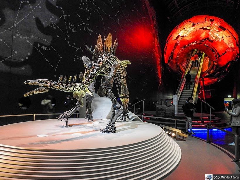 Museu da História Natural - O que fazer em Londres: 48 atrações imperdíveis