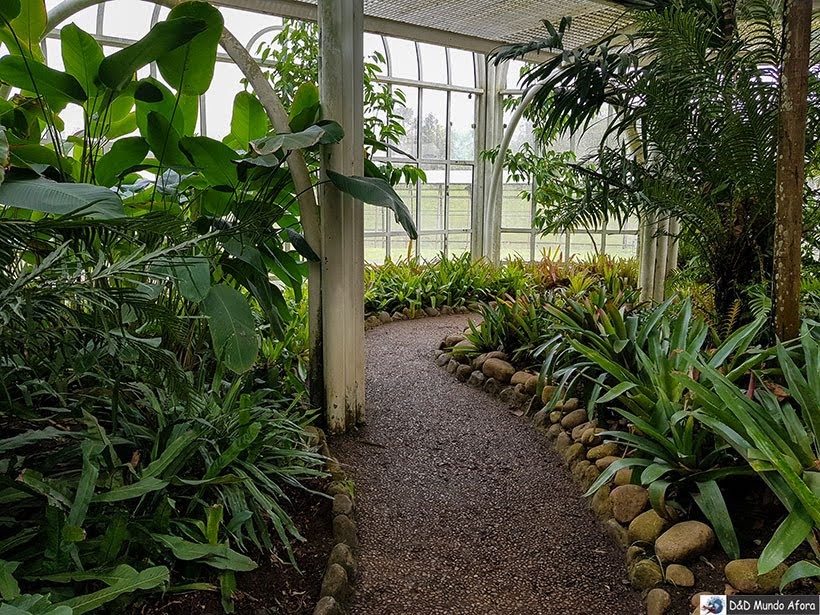 Estufa do Jardim Botânico de Curitiba: como visitar