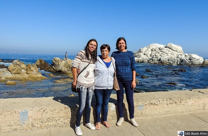 Praia de Viña del Mar - Diário de Bordo Chile: 8 dias em Santiago e arredores