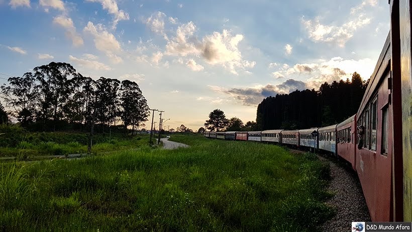 Passeio de Trem para Morretes - Roteiro de 4 dias em Curitiba, Paraná