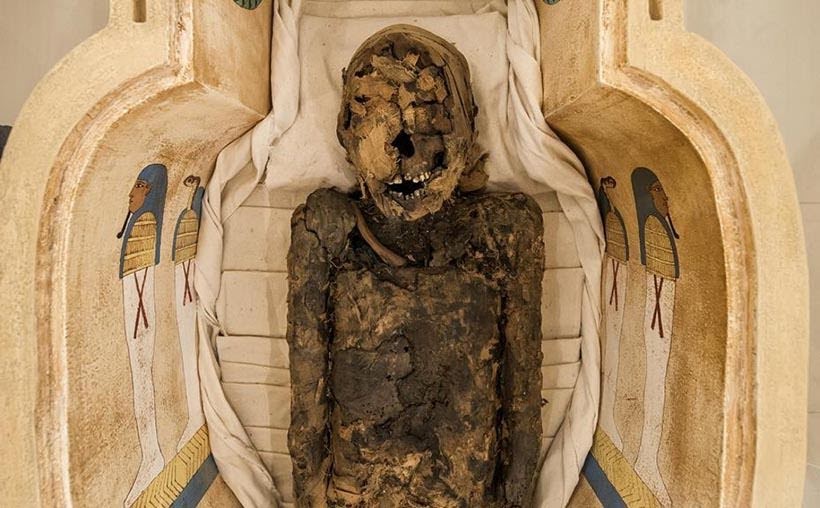 Múmia original Tothemea. Foto: Leticia Akemi, Gazeta do Povo