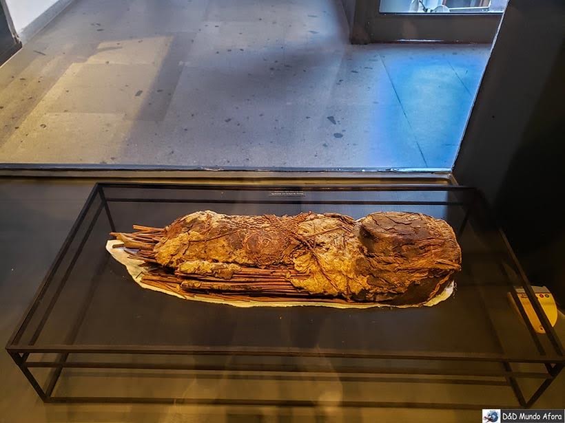 Múmia de uma criança Chinchorro no Museu em Santiago