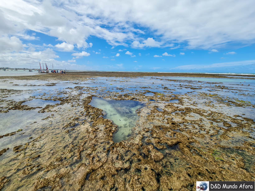 Maré baixa nas Piscinas naturais