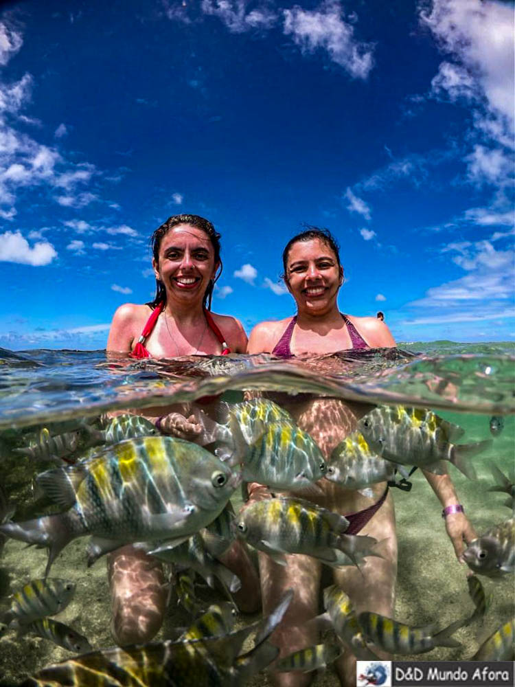 Aproveitando as piscinas naturais na maré baixa